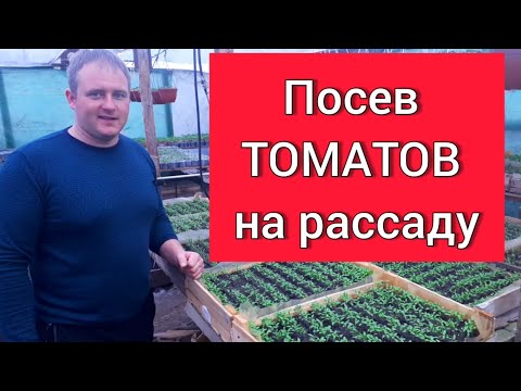 Посев ТОМАТОВ на рассаду
