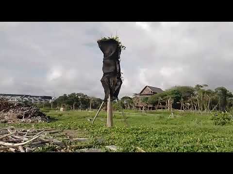 She told me put my heart