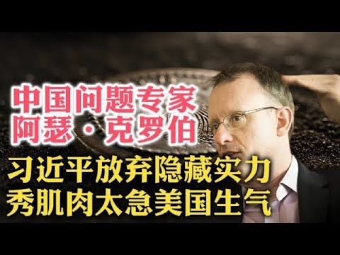 天呐！纽约大学教授阿瑟·克罗伯：习近平放弃隐藏实力，扮猪吃老虎失败！说中美冷战的，简直有毒！  特朗普   关税   百年国耻   消费再平衡   投资驱动   长期思维   中美谈判