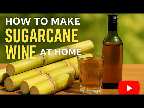 How to Make Sugarcane Wine at Home | Easy Homemade Fermented Drink 🍶🌿