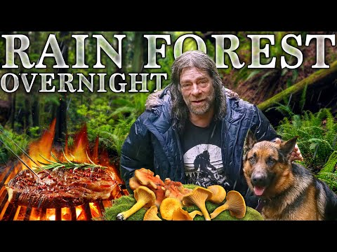 Rainforest Overnight Camping and Foraging on Vancouver Island