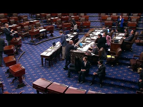 Senate fails to pass DHS funding