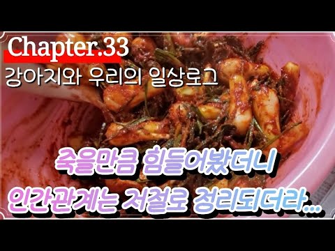 강아지와22년차부부의 평범한일상로그.총각김치담기.가족과의굴파티