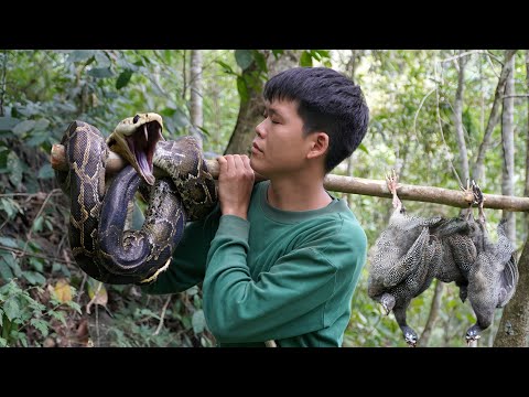 200 Days of Survival, Traces of Wild Animals, Traps,  Frogs, Wild Boars, Stream Fish, Night Hunting