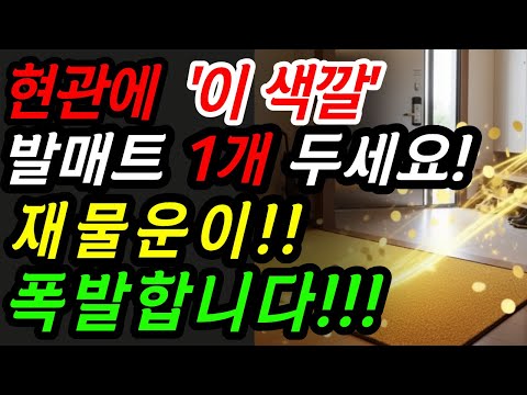 현관에 이 색깔 발매트 1개 꼭 두세요! 2026년 재물운이 폭발합니다. |재물운 | 금전운| 현관풍수