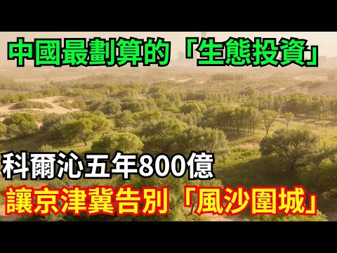 中國做了一筆最劃算的「生態投資」！科爾沁五年800億，讓京津冀告別「風沙圍城」！#中國 #地質 #工程 #生態 #沙漠