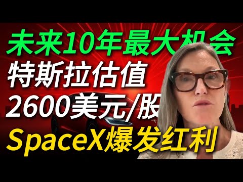 女股神木头姐最新发声：特斯拉 2029 年目标价 2600 美元丨SpaceX IPO前夜：ARK如何捕捉SpaceX的爆发红利丨中美 AI 竞赛的命脉丨AI泡沫论站不住脚丨核能复兴