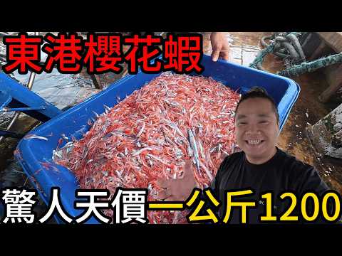 好扯!!一公斤竟然1200元丨被騙了嗎?這些都不是東港櫻花蝦丨禁止進入的神秘櫻花蝦拍賣現場丨直擊拖網抓櫻花蝦太壯觀了