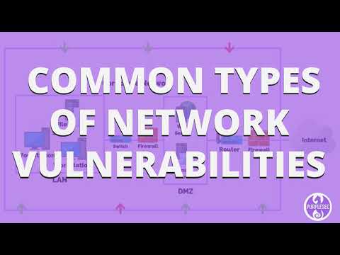Common Types Of Network Security Vulnerabilities | PurpleSec