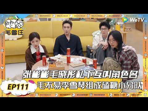 【2025年EP111期完整版】好嗑！张彬彬毛晓彤私下互叫角色名！毛不易解释自己名字由来！ |《毛雪汪》《毛雪汪2025春番》 FULL #综艺 #毛雪汪 #李雪琴 #毛不易 #张彬彬 #毛晓彤