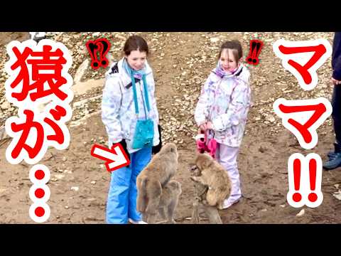 「これが日本か…」温泉に入る猿に大衝撃の外国人観光客