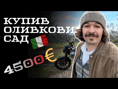 Купив оливковий сад в Італії за 4500євро. Чи шкодую я?