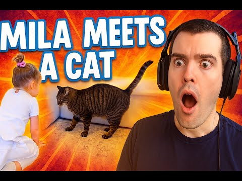 I Reacted to the Anazala's 1st video