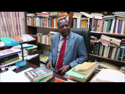 Théophile Obenga - Entretien (Histoire générale de l'Afrique)