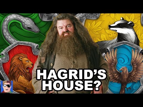 Which House Was Hagrid In? | Harry Potter Theory