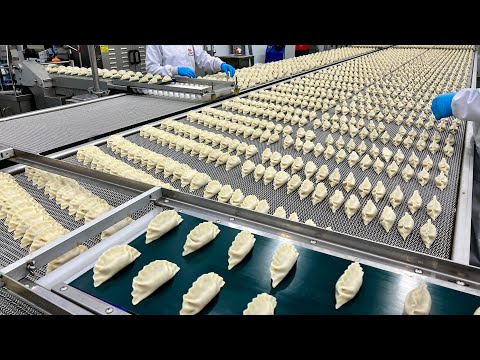 Amazing frozen dumpling manufacturing process at a Korean dumpling factory
