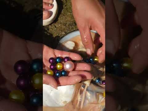 Bizarre Clam Discovery: Girl’s Odd Clam Yields a Pearl