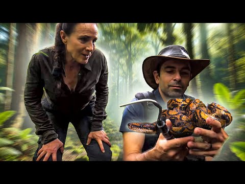 Équateur : sur les traces du boa arc-en-ciel