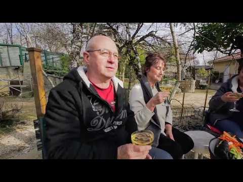 Nuisances sonores : la bataille du silence