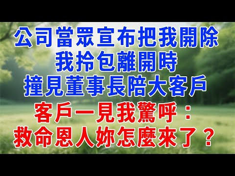 公司當眾宣布把我開除，我拎包離開時，撞見董事長陪大客戶，客戶一見我驚呼：救命恩人妳怎麼來了？#人生感悟 #原创视频 #生活經驗 #故事頻道 #职场 #打脸