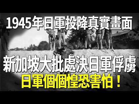 1945年日軍投降真實畫面，新加坡大批處決日軍俘虜，日軍個個惶恐害怕！
