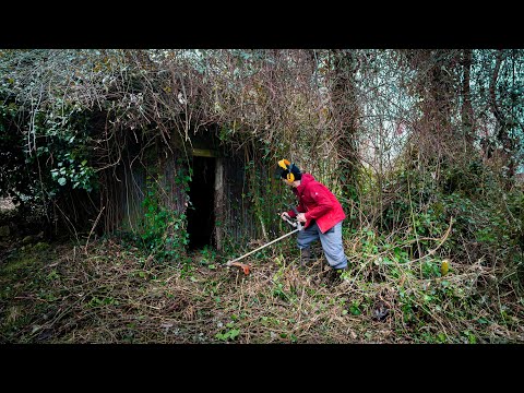 We Discovered A Hidden Building Behind the 200 Year Old Coach House.