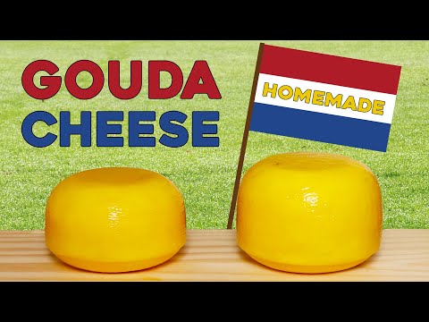 Making Gouda Cheese at Home (Homemade Baby Gouda Cheese)
