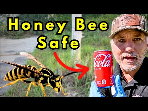 KILL ALL Yellowjackets And Wasps For 1/2 Mile. Safe For Honey Bees!