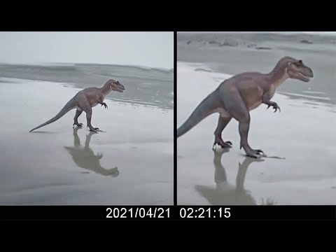 DAS MUSST DU SEHEN! 50 Ausgestorbene Tiere, Die Lebend Gefilmt Wurden