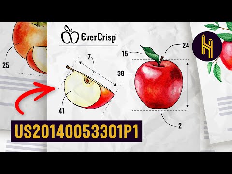 The 19 Year Process of Inventing a New Apple