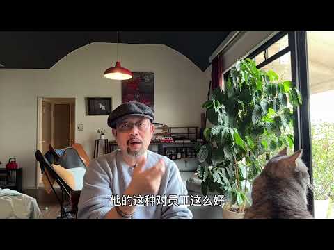 以后我改名“乌鸦散人”算了：胖东来分40亿断臂求生，背后的误解与无奈；有良心的中国企业家求生之路，一直非常艰难｜万科｜华为｜血酬定律｜合法伤害权｜