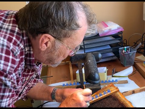 Rearing Queens and Making Splits