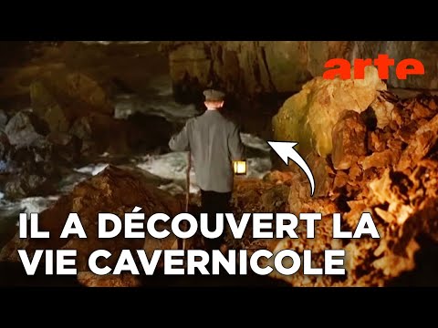 En Slovénie, une découverte à la lanterne | ARTE