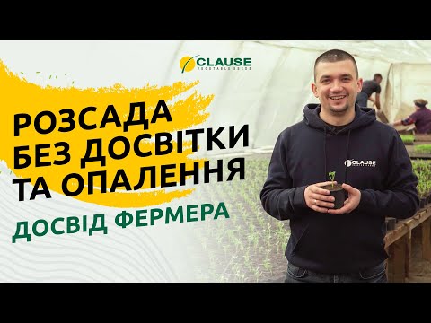 РОЗСАДА ПЕРЦЮ НА ЗАКАРПАТТІ: ДОСВІД ФЕРМЕРА