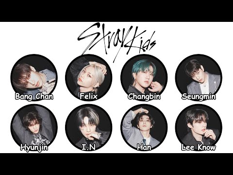 Every STRAY KIDS Member Explained in 20 Minutes