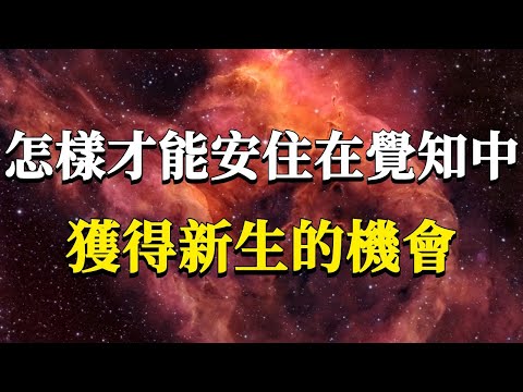 99%的人都被圈養了！你以為的自由可能只是被動的被控制！怎樣才能時刻安住在覺知中，擺脫被控制的人生？#能量#業力 #宇宙 #精神 #提升 #靈魂 #財富 #認知覺醒 #修行