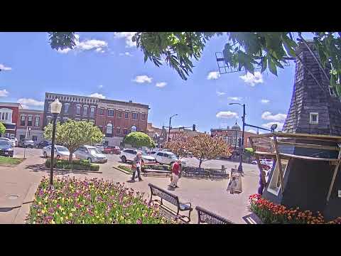 Pella Tulip Cam 2025!