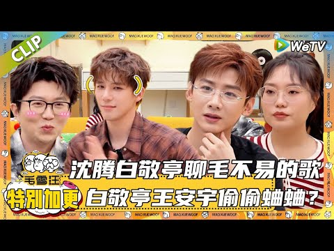 【2025秋CLIP】: 毛不易李雪琴re了现在就出发S3，看到沈腾一杯敬早上了，王安宇再说粤语爆笑全场！|《毛雪汪2025年秋》#综艺 #毛雪汪#李雪琴#毛不易#沈腾#白敬亭#王安宇 #现在就出发3