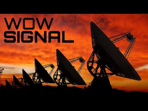 The WOW Signal: Did Aliens Try to Contact Us?