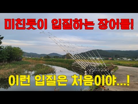 The day the eels go wild! The crazy biting begins!