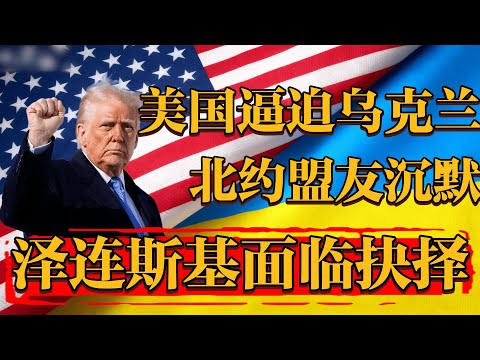 美国用断供威胁逼迫乌克兰签下城下之盟,北约盟友集体沉默! #新聞 #經濟 #纪实 #时间 #經濟 #历史 #文化 #聊天  #熱門