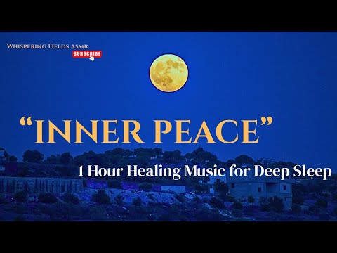 1 Hours of Calming Music for Dogs 🐶💖 Anti-Separation Anxiety Relief Music 🎵🐶 Deep Sleep Music