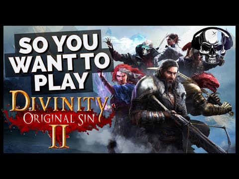 So You Want To Play Divinity: Original Sin 2...(New Player's Guide)