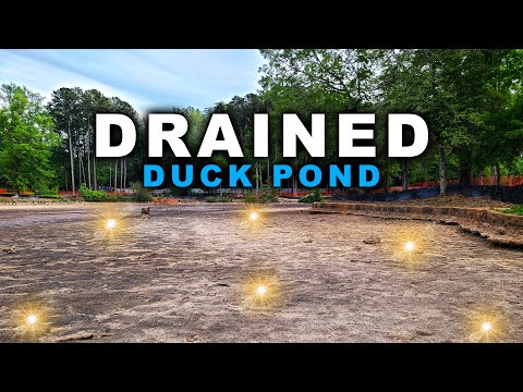They DRAINED The Old DUCK POND, What Was Laying At The Bottom BLEW ME AWAY!