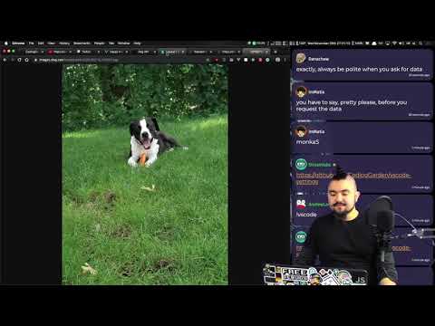 { 🌱} API Requests with JavaScript / fetch | Create / add elements with JavaScript DOM | w/ Bulma