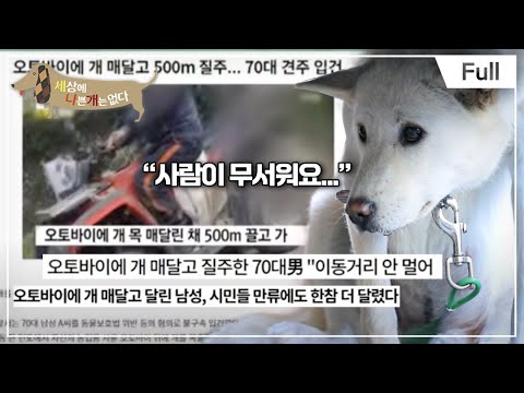 [Full] 세상에 나쁜 개는 없다 - 오토바이에 끌려가던 개, 한티