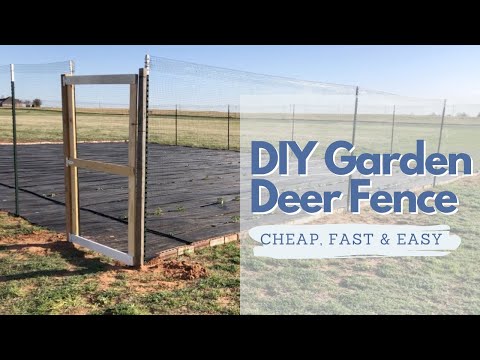 DIY Deer Proof Garden Fence | Cheap, Fast, & Easy