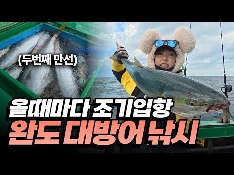완도 대방어 지깅낚시 사이즈 마리수 미쳤닷!!!