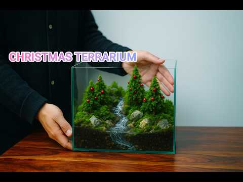 Diy Christmas Terrarium with a flowing Mini River