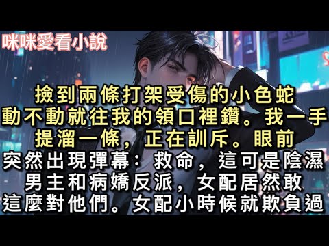 撿到兩條打架受傷的小色蛇。動不動就往我的領口裡鑽。我一手提溜一條,正在訓斥。眼前突然出現彈幕:【救命,這可是陰濕男主和病嬌反派,女配居然敢這麼對他們。】#一口氣看完 #甜寵 #小說